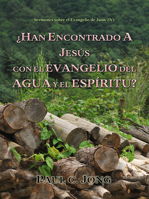 cover image of ¿HAN ENCONTRADO a JESÚS CON EL EVANGELIO DEL AGUA Y EL ESPÍRITU?